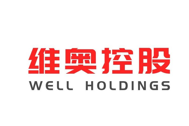 青岛维奥控股 以远见塑造格局，以专业赋能未来——企业形象策划方案